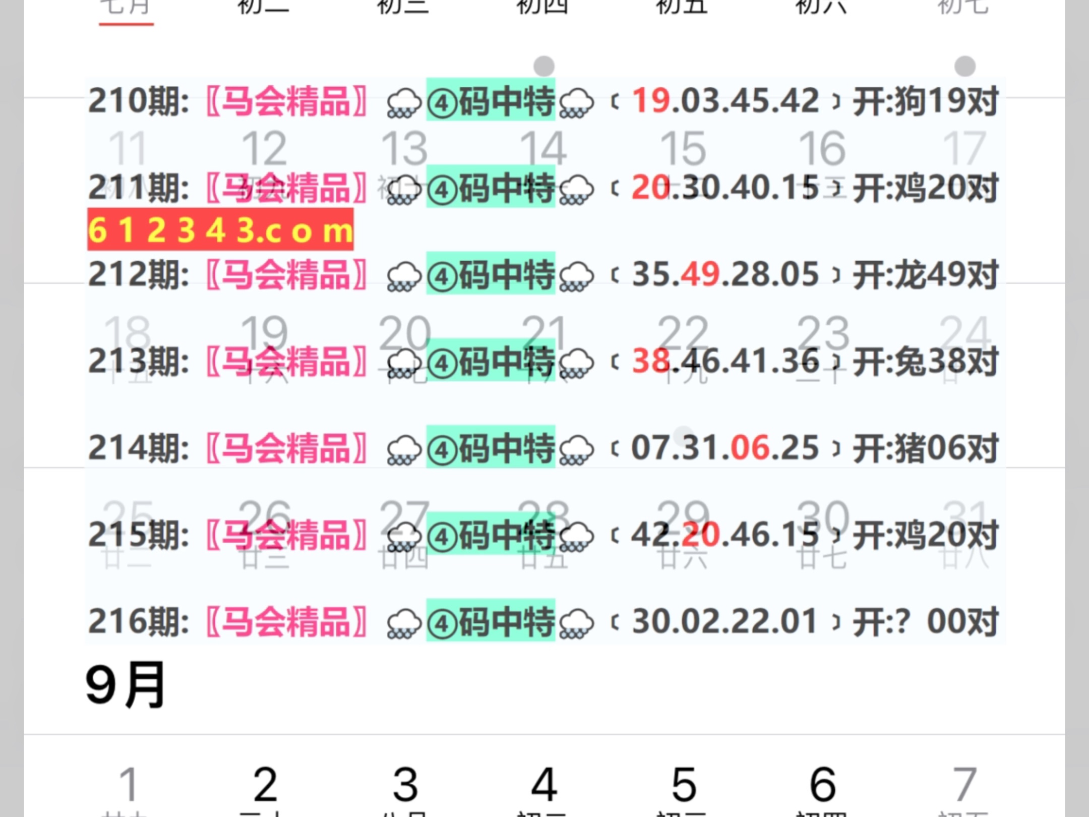 2024年新奥门天天开彩,新澳门天天开彩，未来的希望与梦想起航