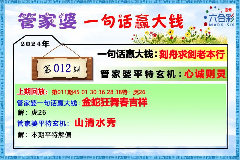 管家婆一肖一码必中一肖,揭秘神秘的管家婆一肖一码，探索背后的智慧与策略