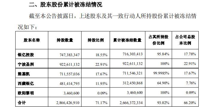 银亿股份引领行业变革，开启企业新篇章